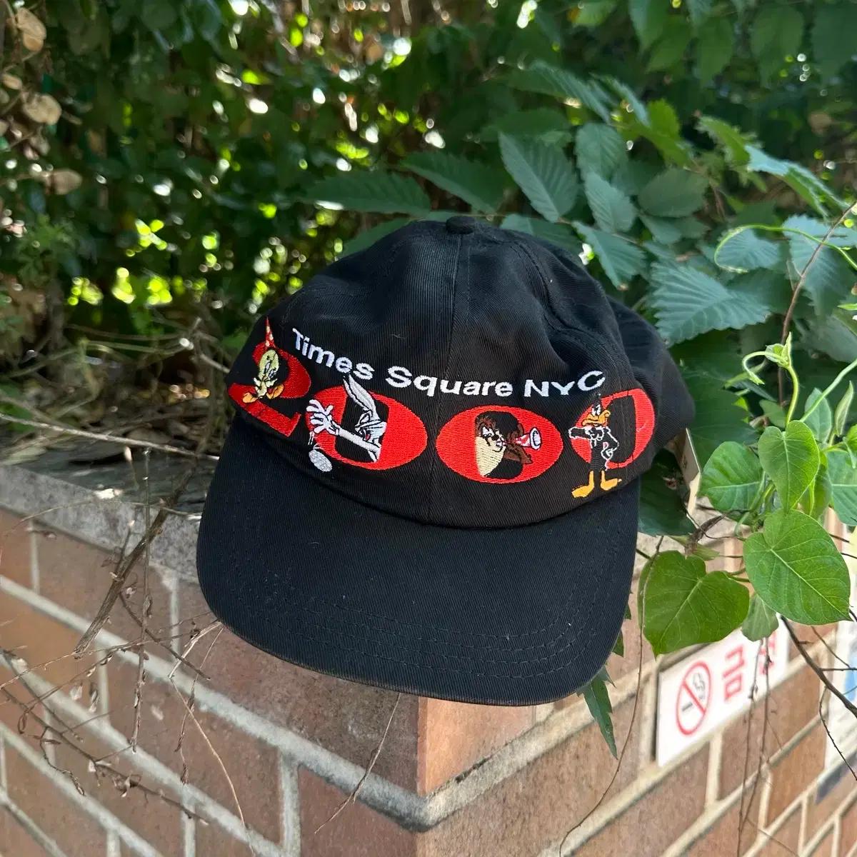 dead stock 90's usa warner bros 2002 cap