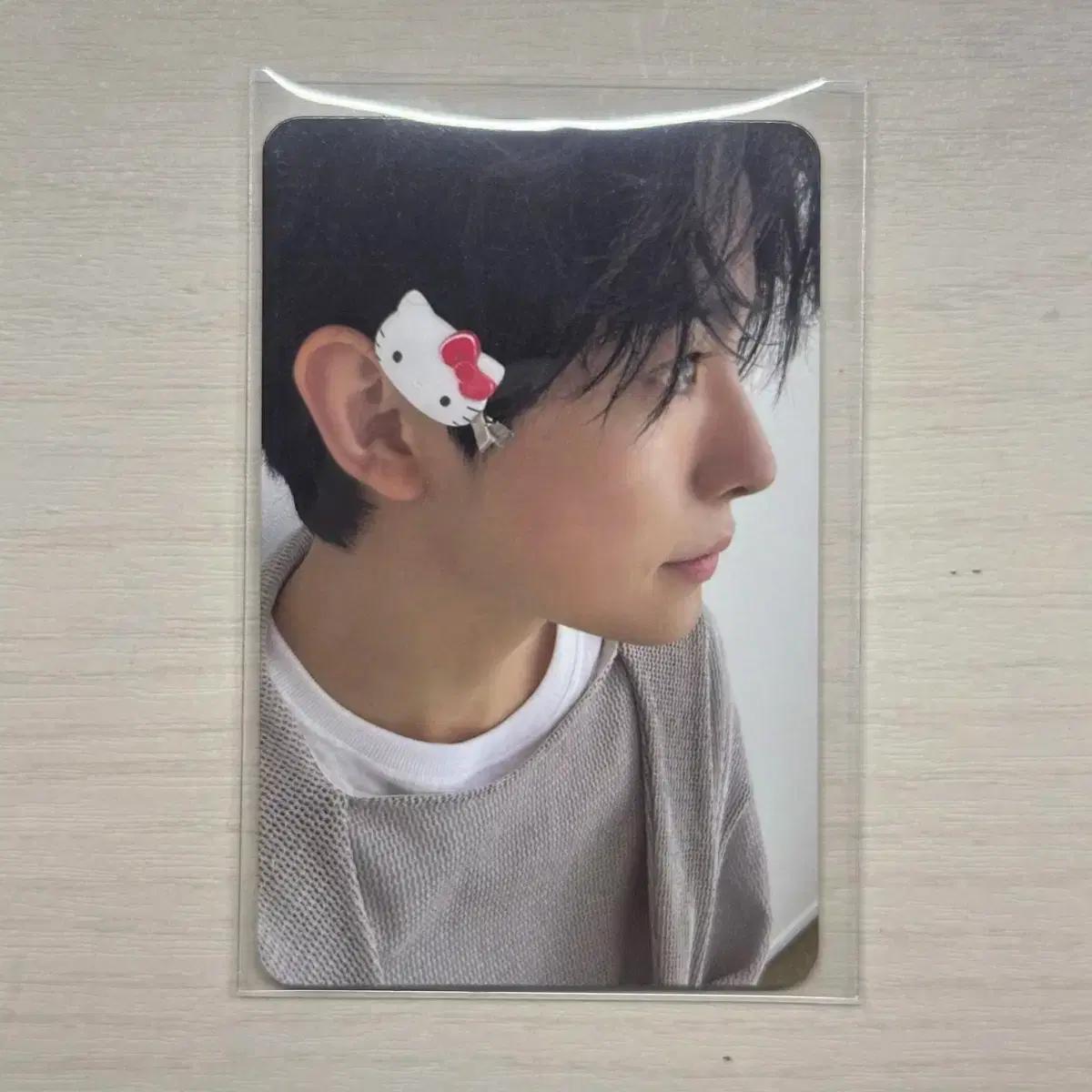 [NCT WISH 엔시티 위시] 유우시 스테디 키티 유우시 양도합니다