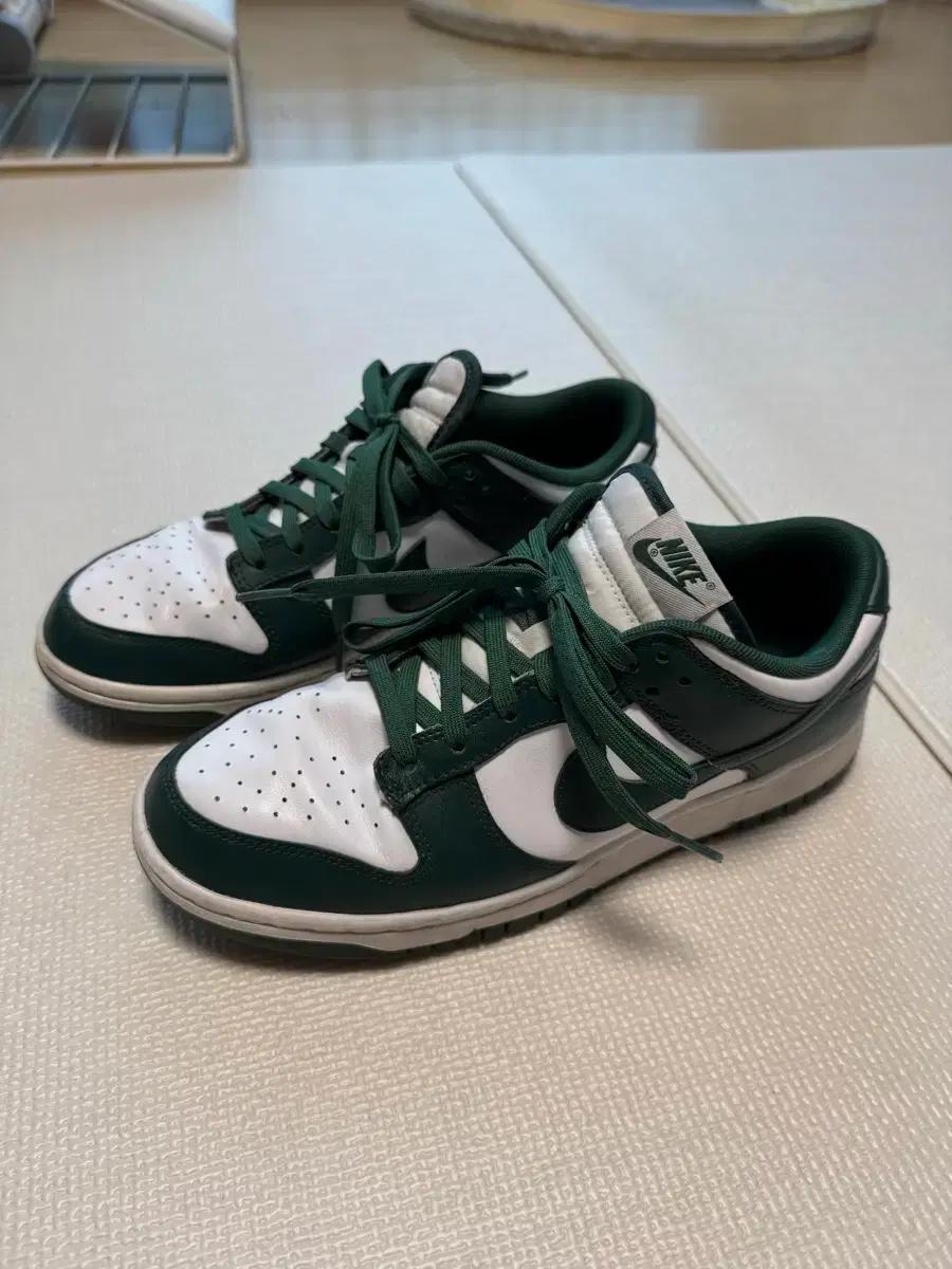 나이키 덩크로우 바시티 그린 (280)