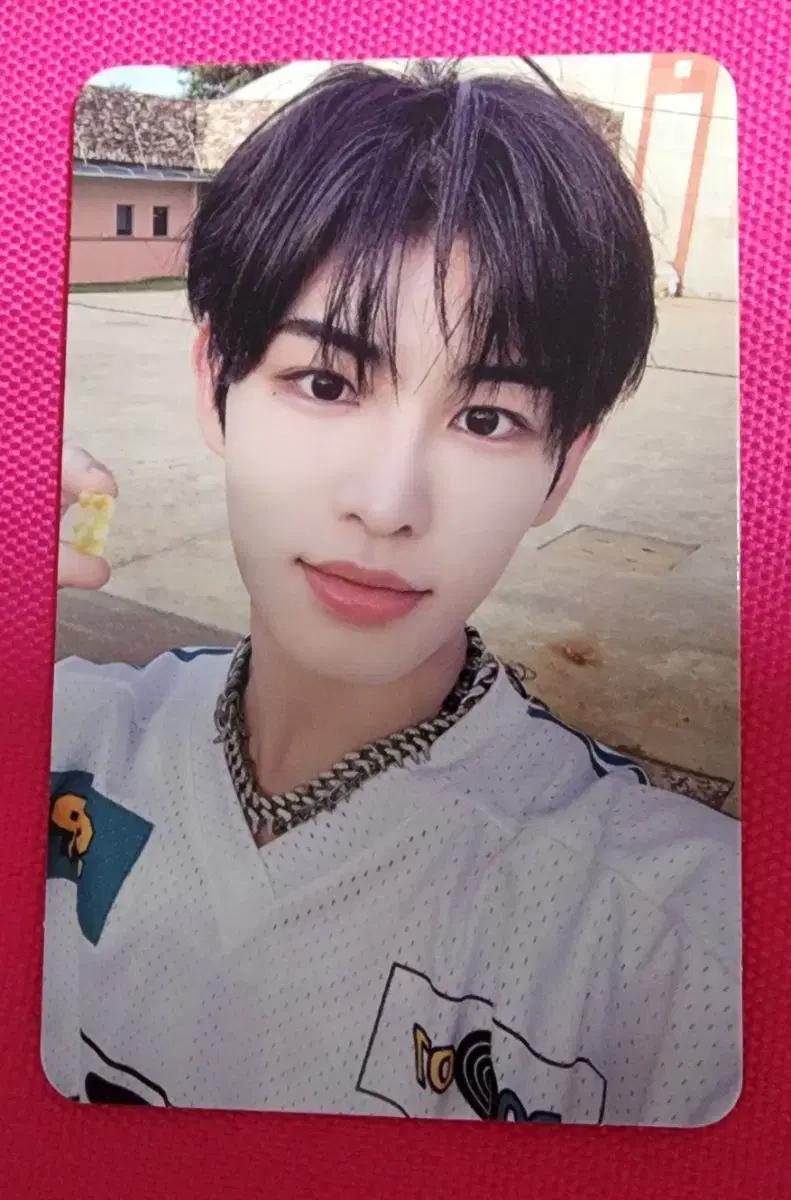 킥플립 민제 공방 포카