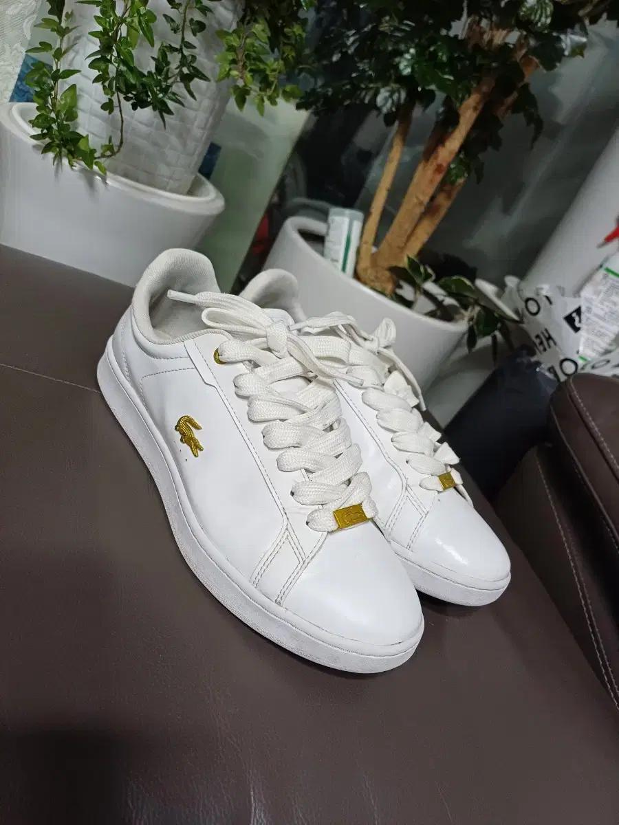 남성남자 라코스테 가죽 스니커즈 운동화9.5( 275)