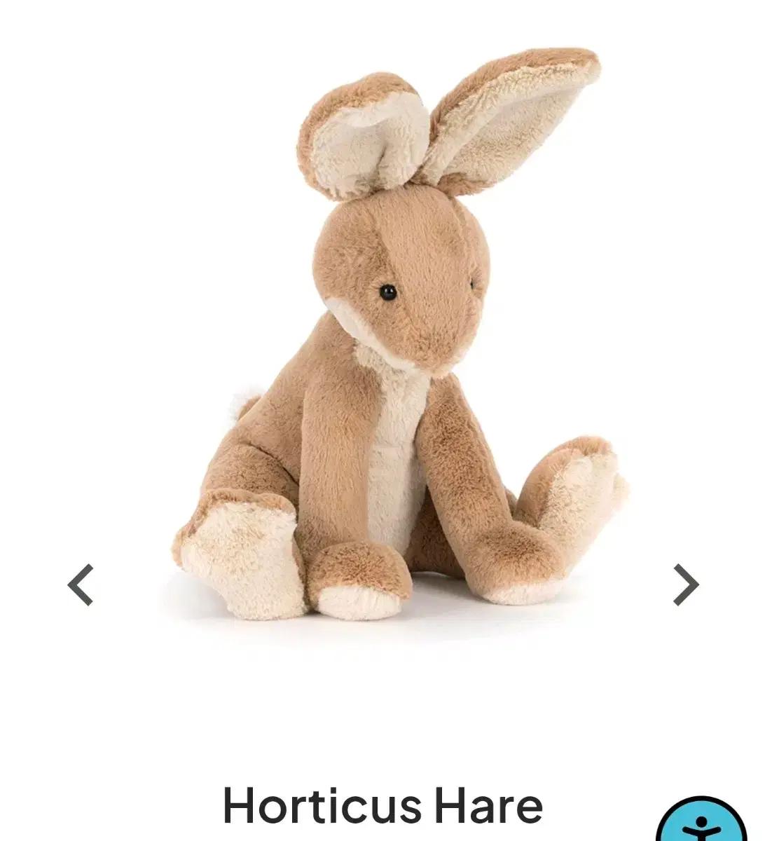 젤리캣 jellycat 호티큐스해어 토끼 애착인형