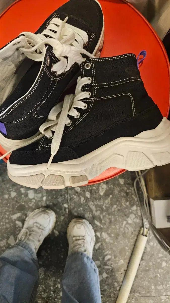 널디 운동화 240