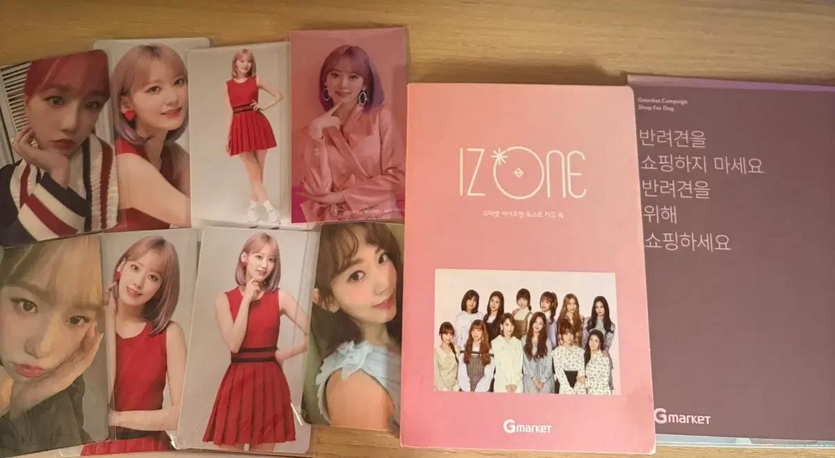 아이즈원 르세라핌 오징어게임 미야와키 사쿠라 조유리 일괄