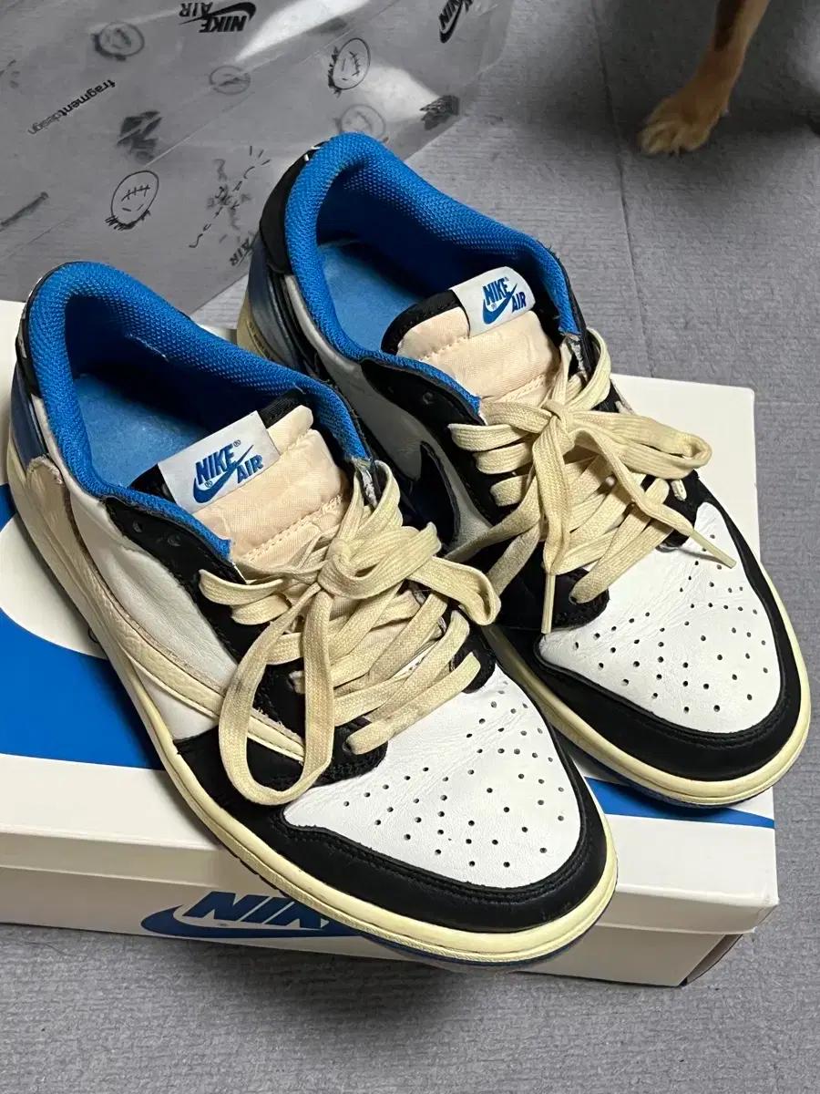 나이키 조던 프스캇 로우 250