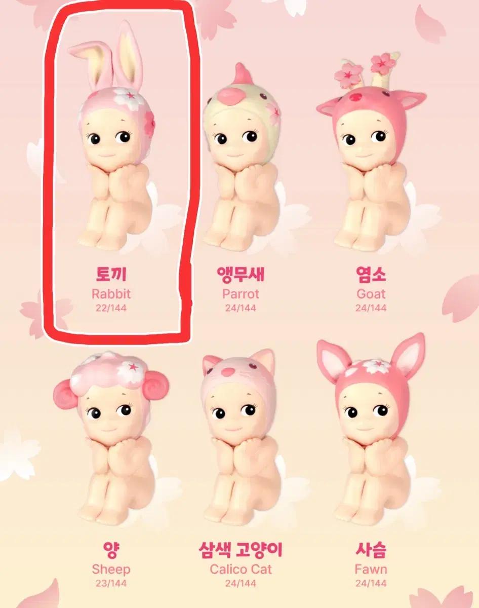 소니엔젤 체리블러썸 하나미 (Rabbit)