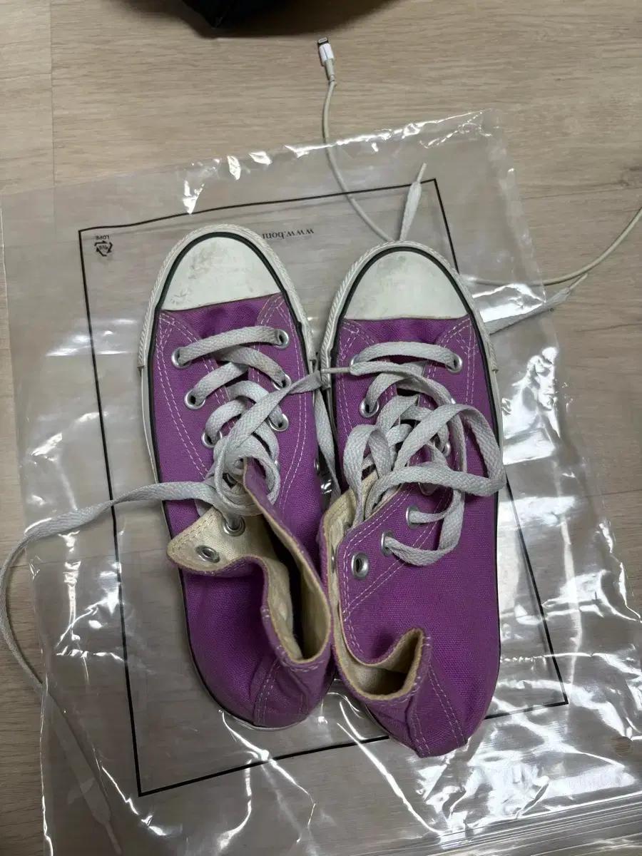 컨버스 푸마 반스 여성