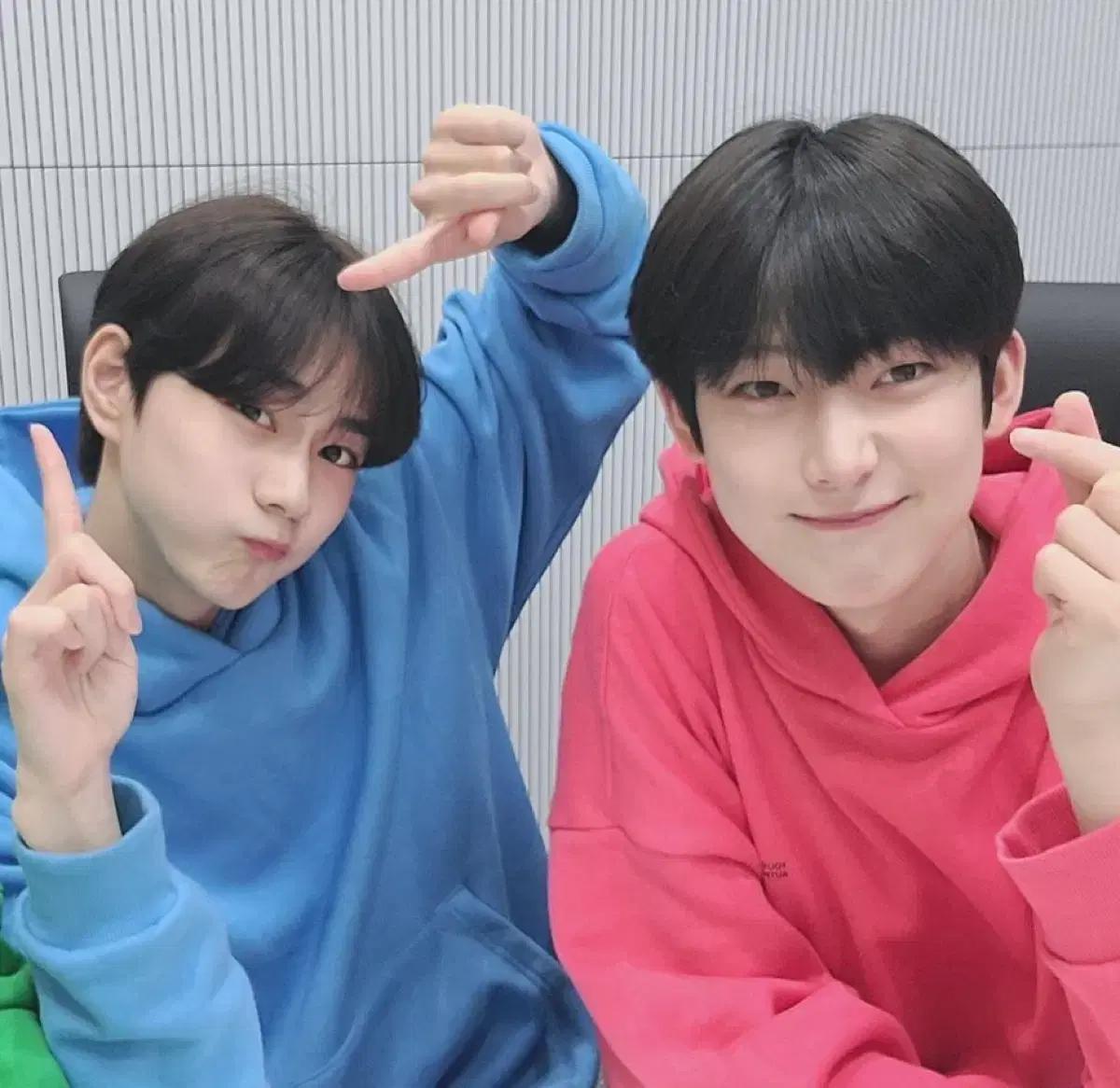 1.5배~ 엔하이픈 랜박 비공굿 공굿 처분나눔