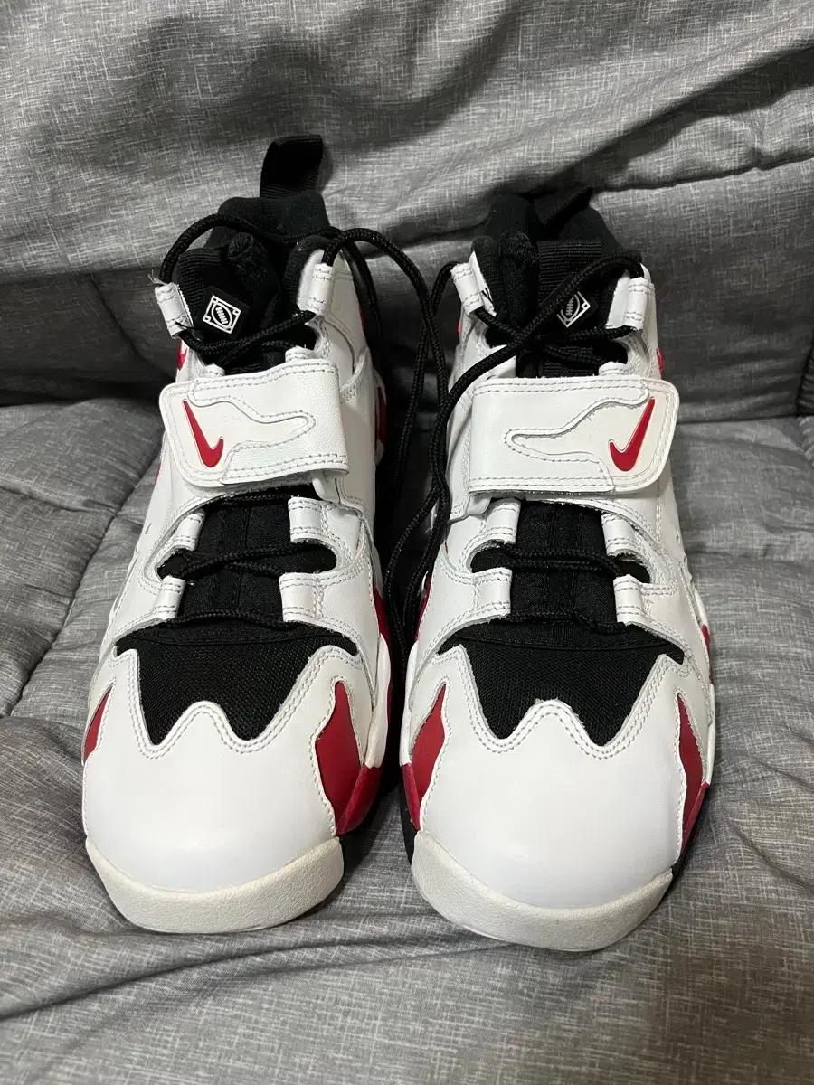Nike Air DT Max