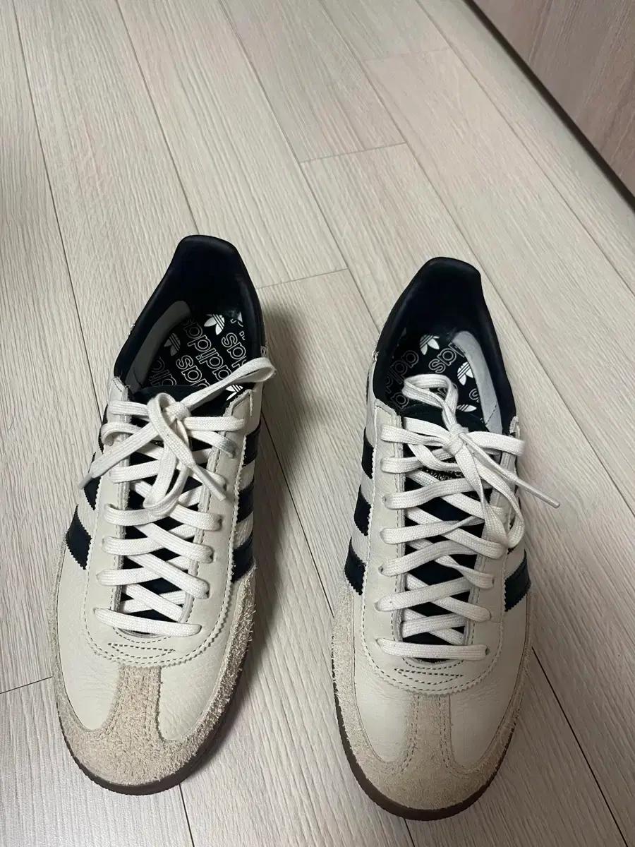 아디다스 스페지알 W250 사이즈