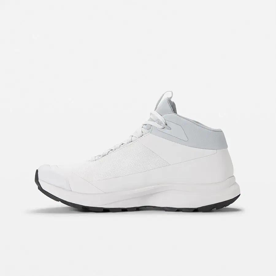 Arc'teryx Aerios FL2 GTX Shoes - 넬슨 정품
