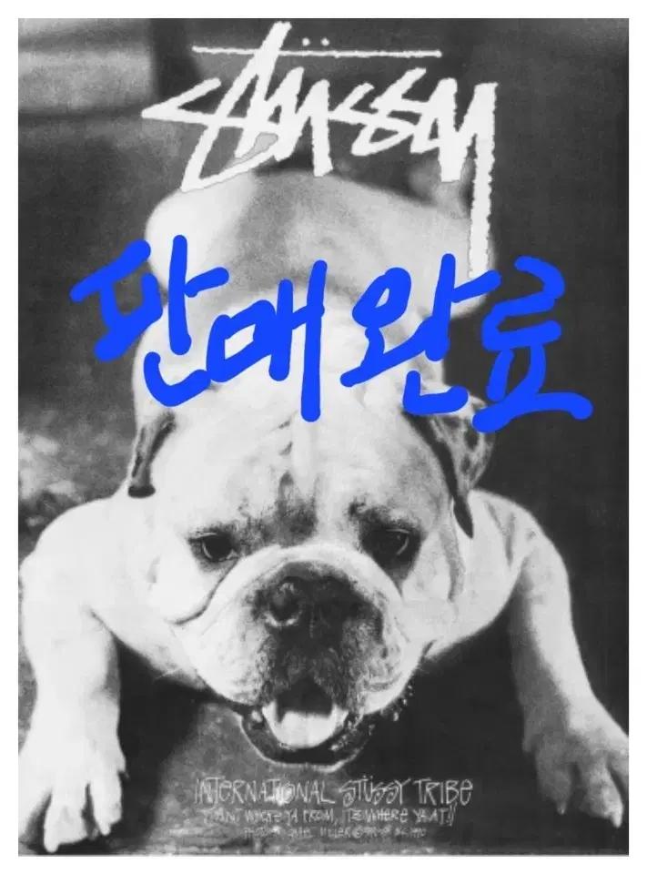 최신형/신품급) 포터 탱커 숄더백 S 블랙(622-76963)