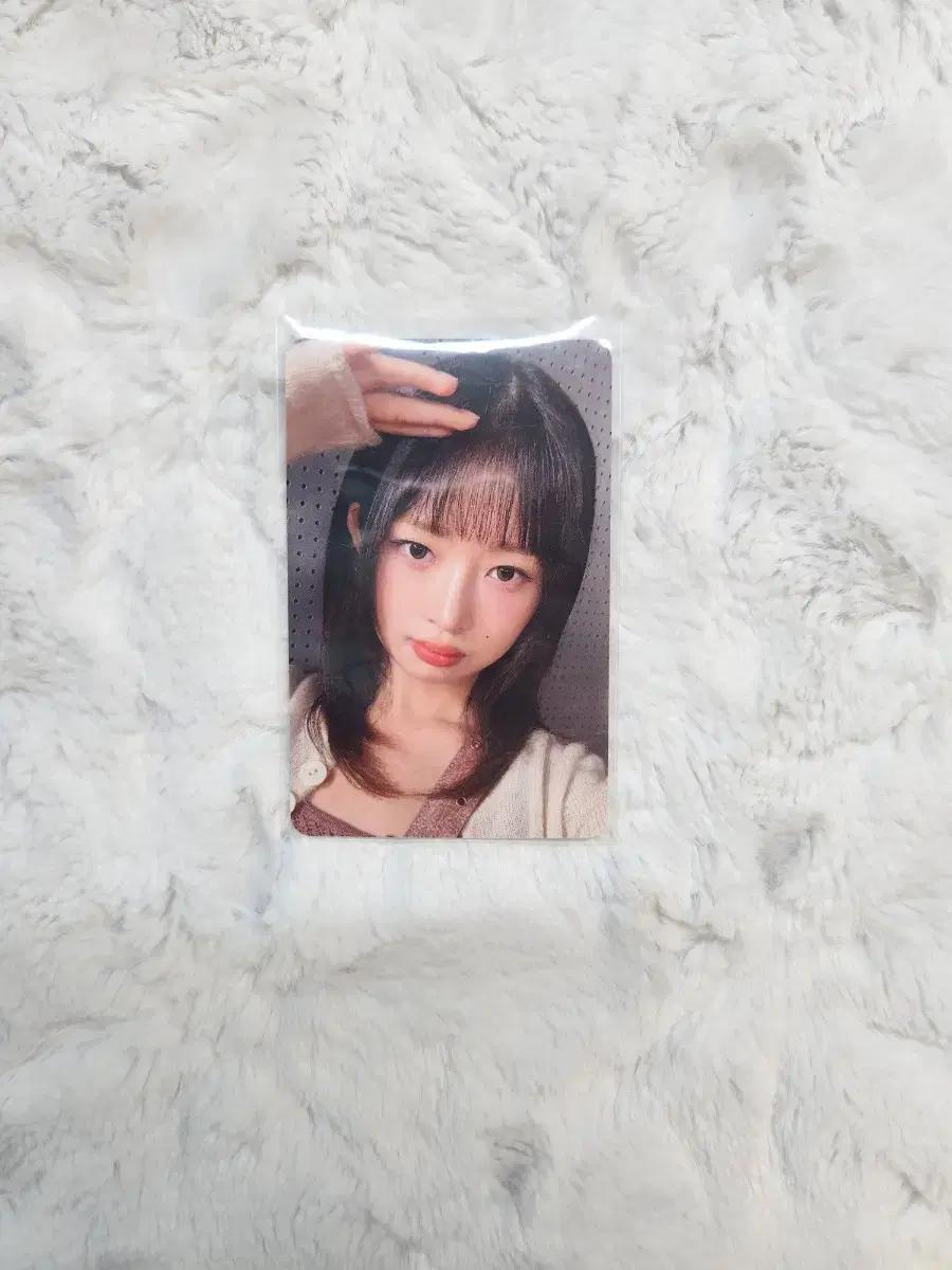 아이브 레이 포카 판매