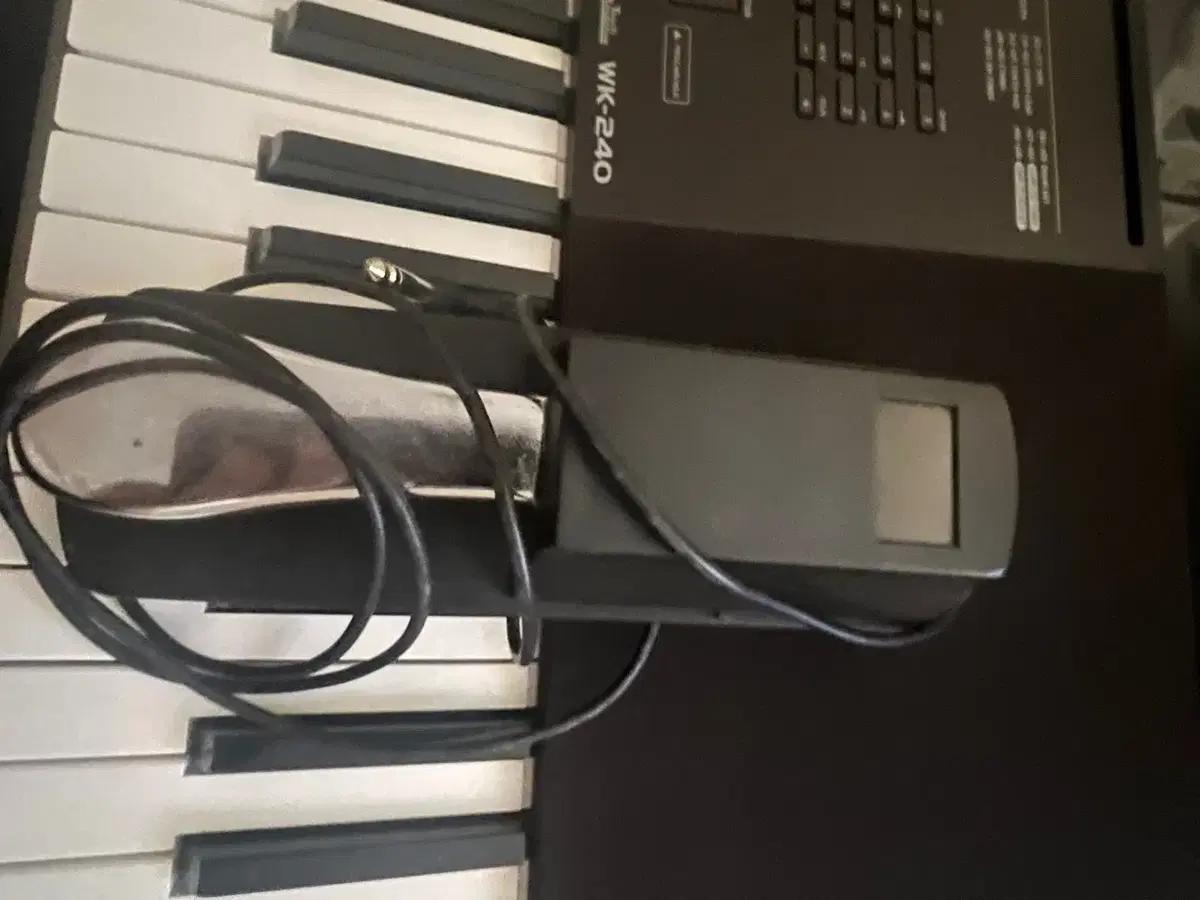 Casio WK-240 판매합니다