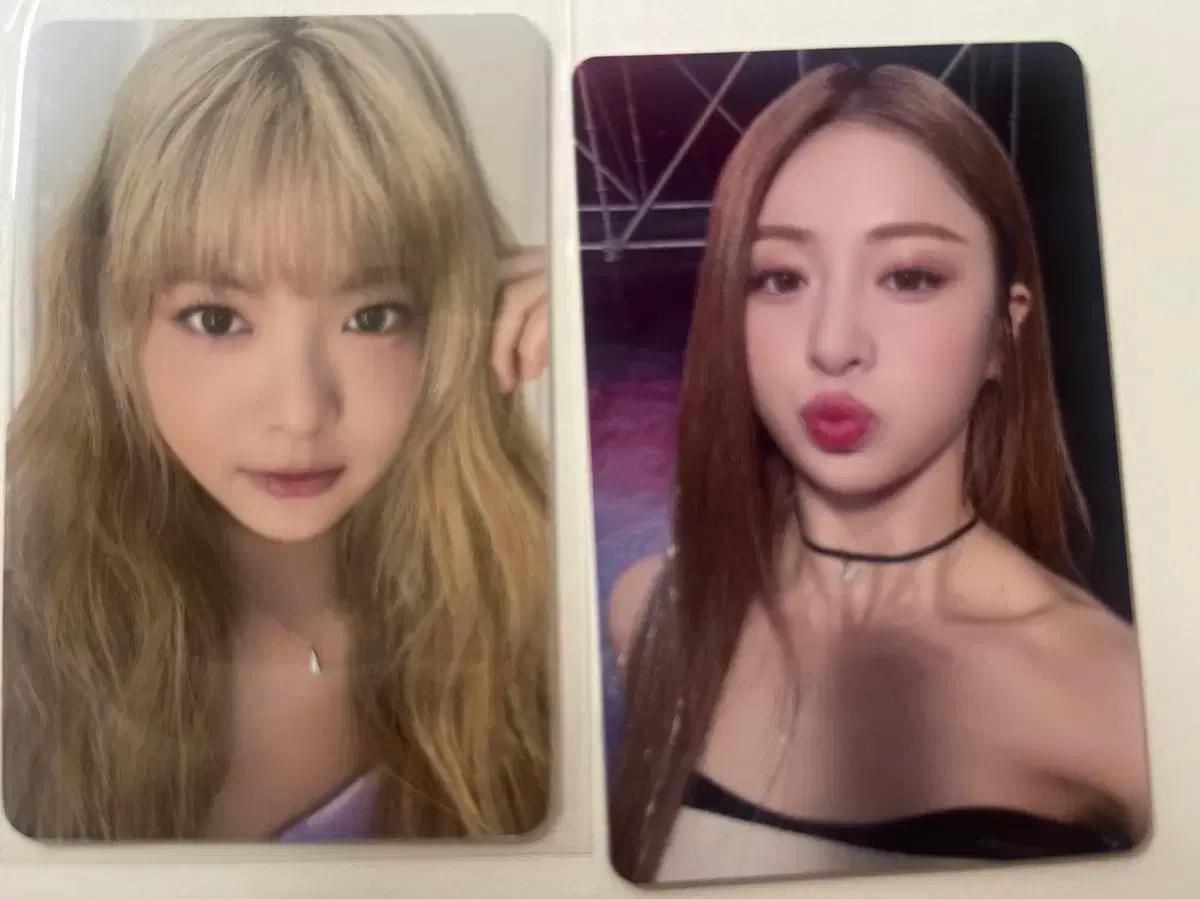 르세라핌 포카