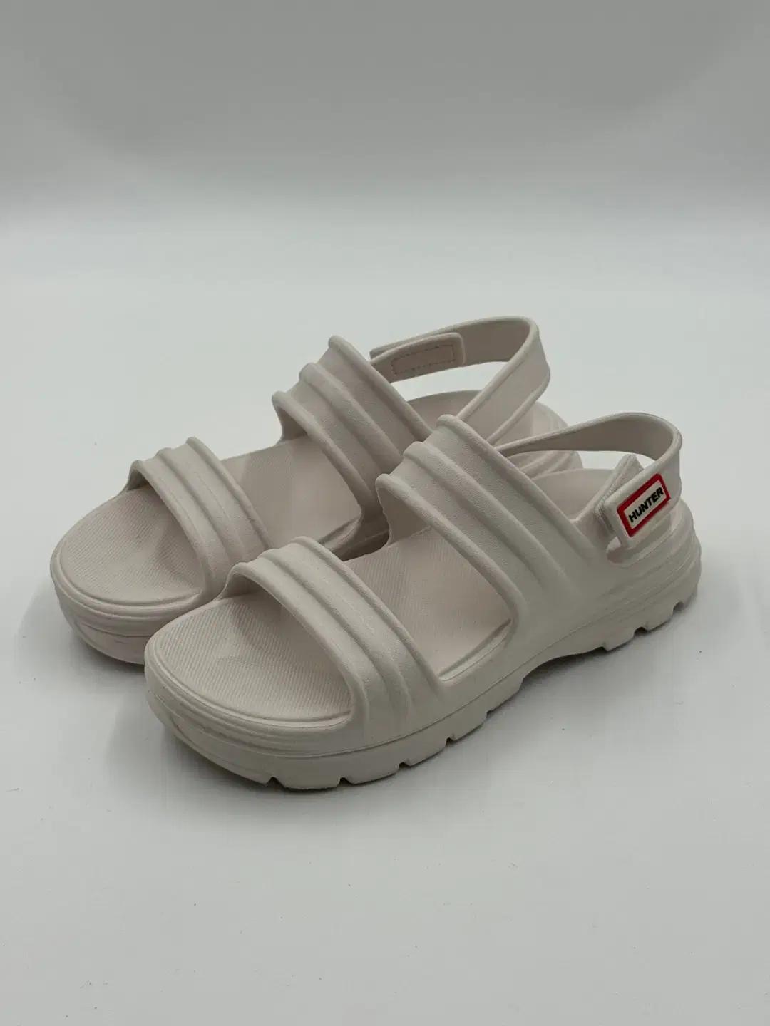 250 헌터 블룸