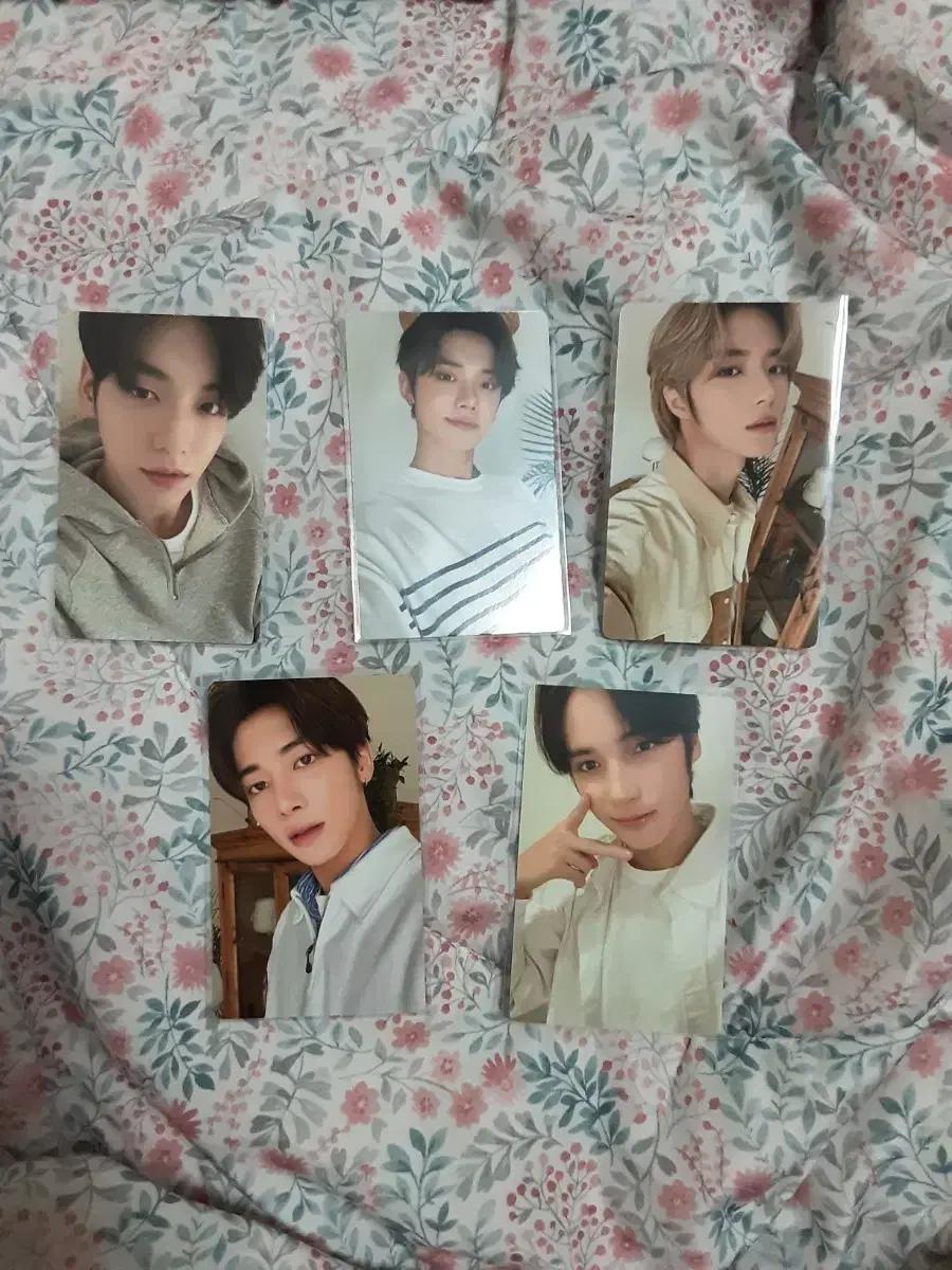 *일주일할인*투바투 2023시그포카 판매