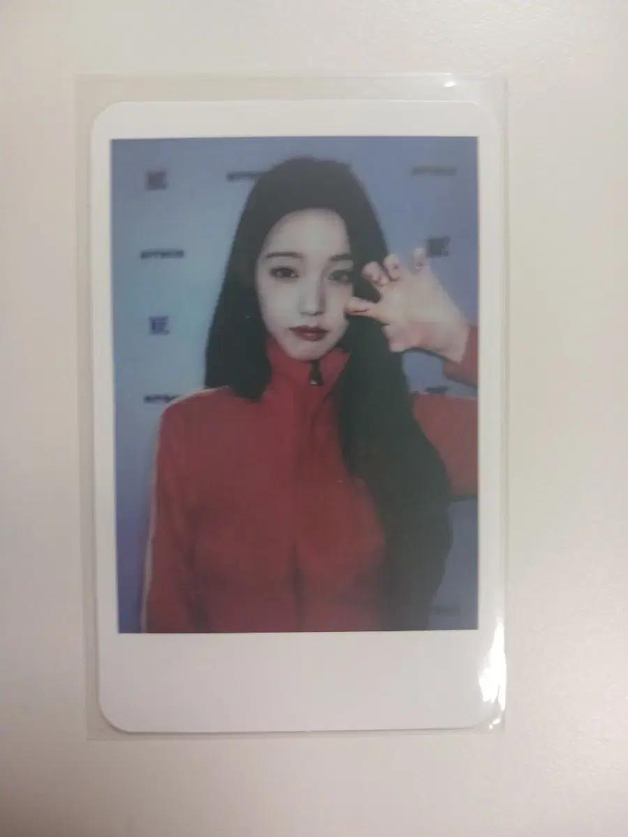 아이브 원영포카