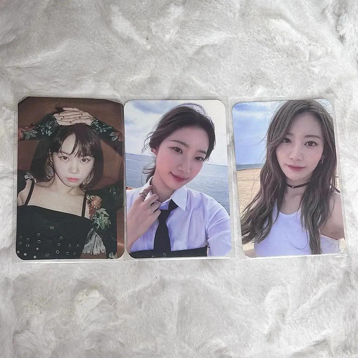 르세라핌 데이식스 포카양도
