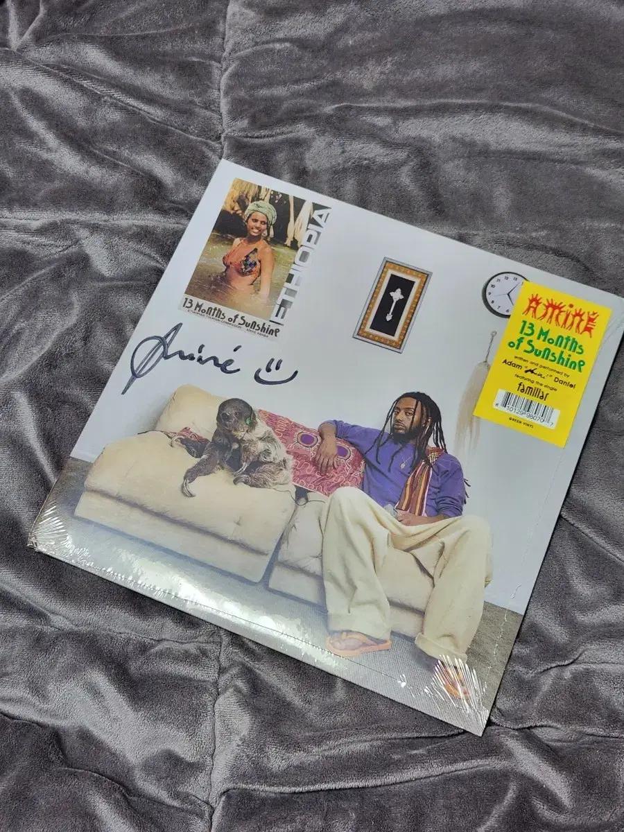 아미네(amine) 13 Months of Sunshine 사인 LP