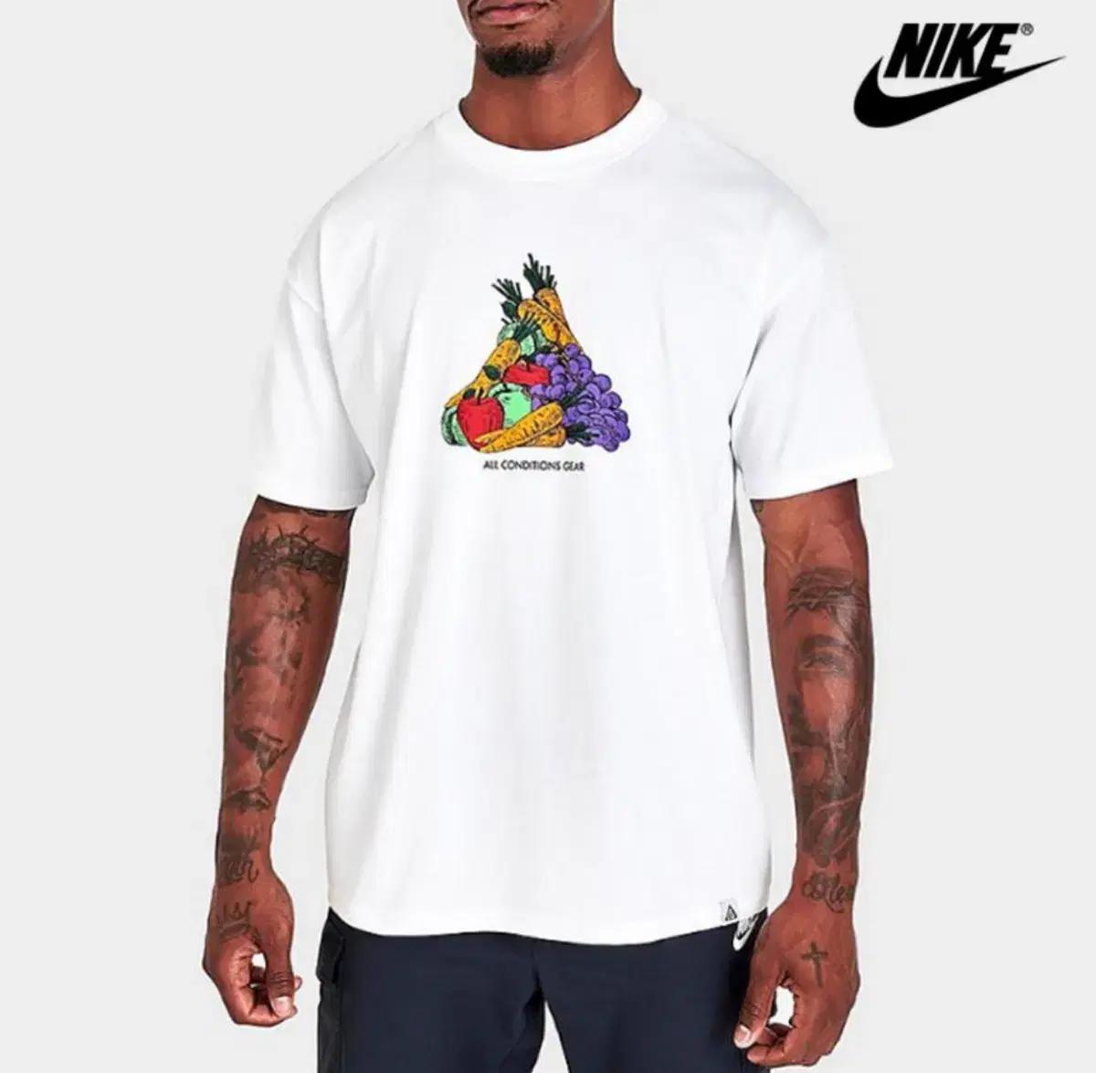 나이키 ACG 후르츠 티셔츠 3XL 아시아 사이즈