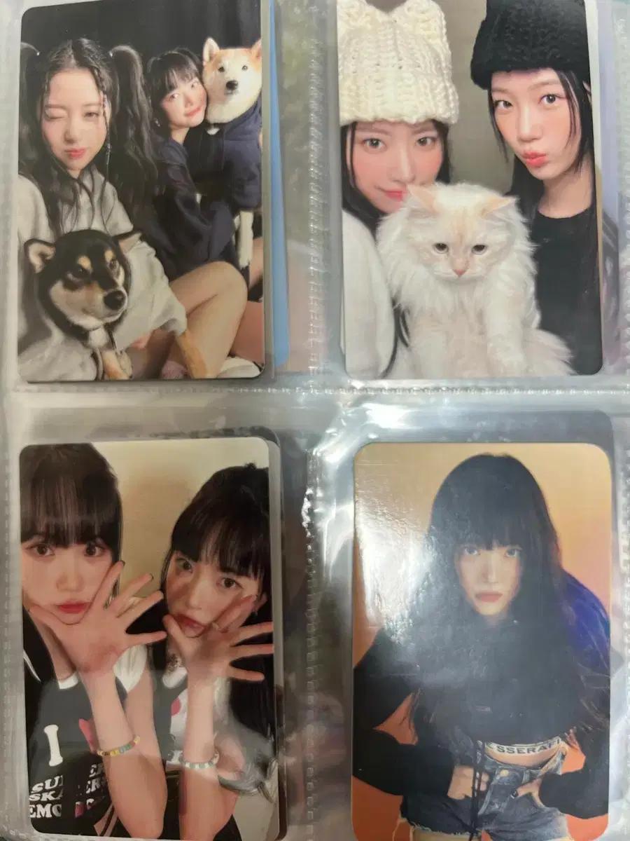 르세라핌 포카 팔아요 처분이라 싸게 팔아요