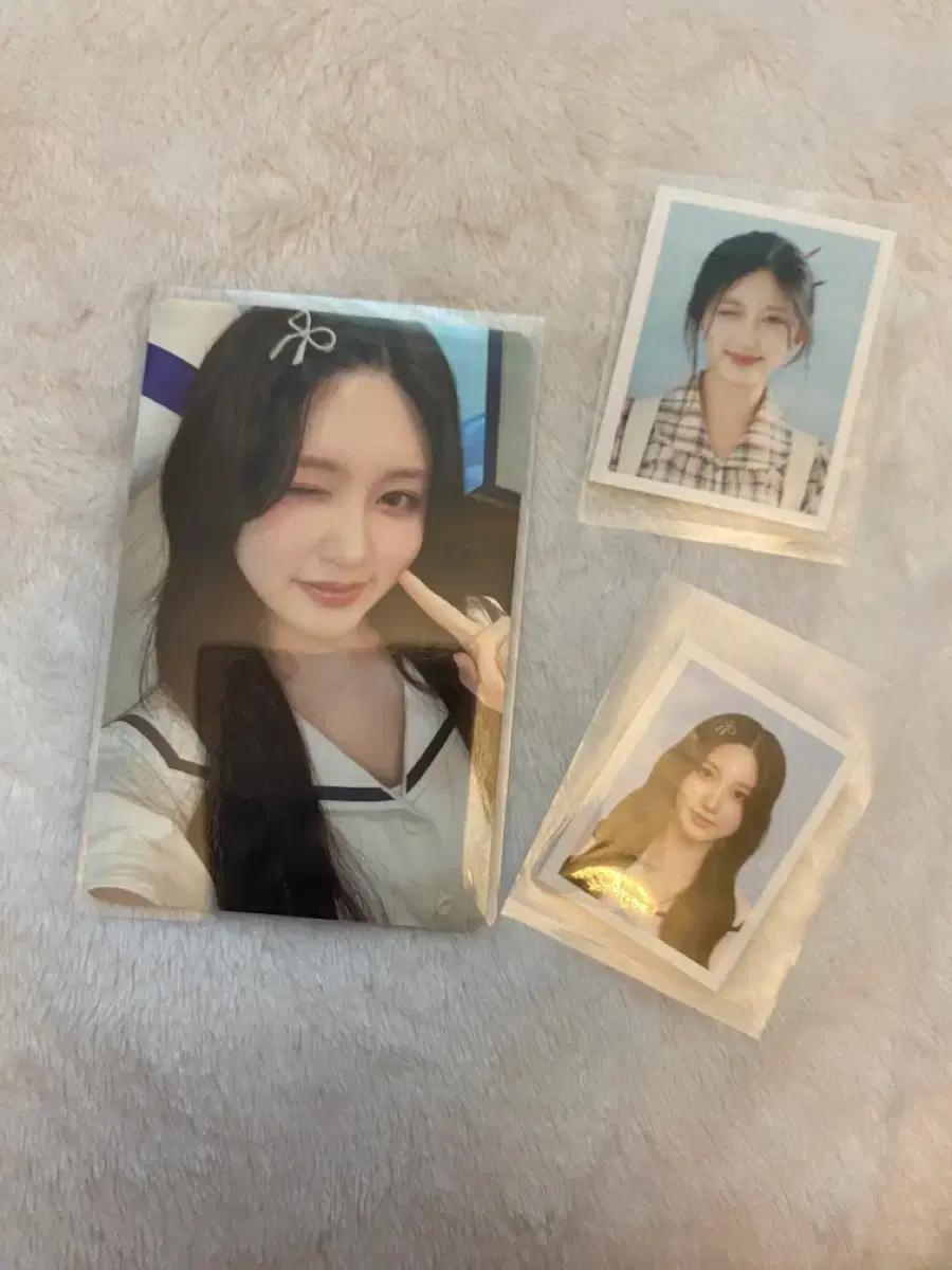 아이브 다이브 키트 4기 포토카드 가을