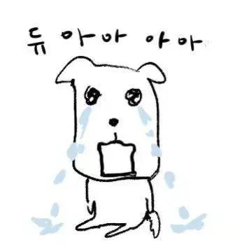 다이소 기초 화장품 파라요