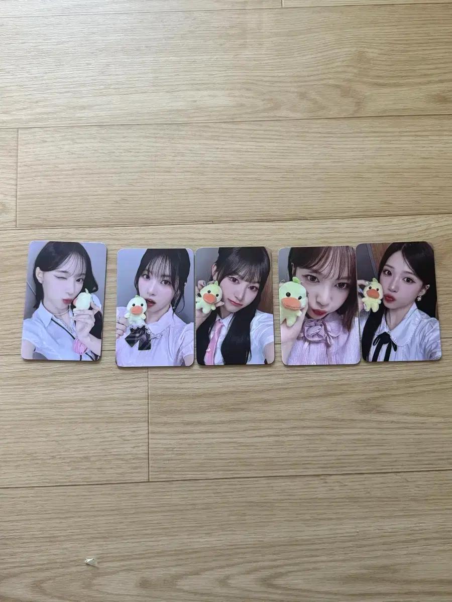 리센느 데자부 미공포