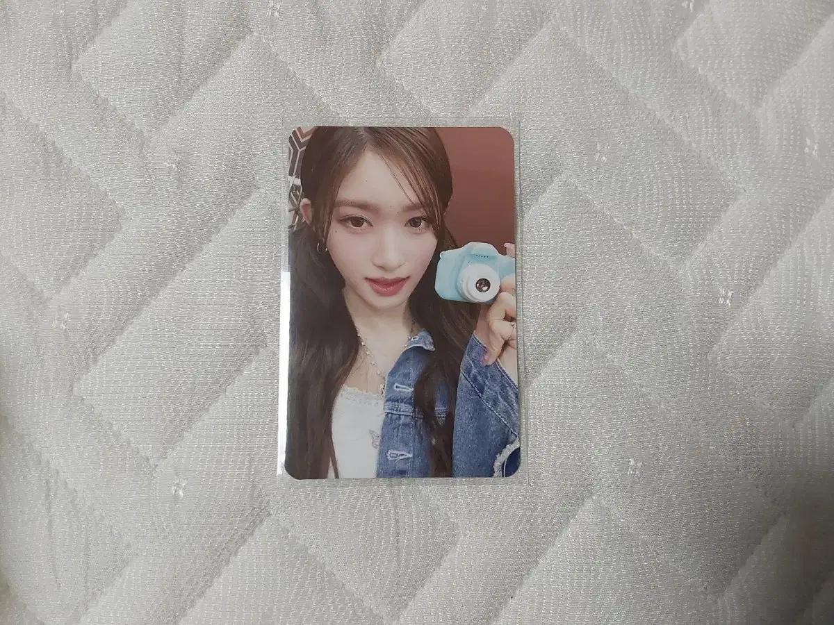 이서 다이브존 아이브매가진 아이브이서다이브존콘서트미니브무나