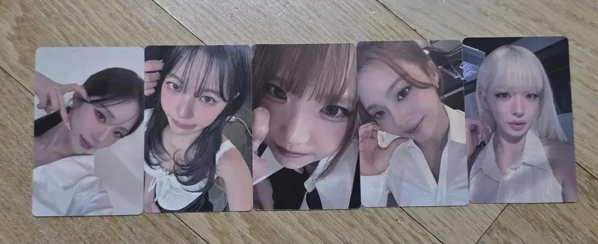 프로미스나인 콘서트 입장 포카