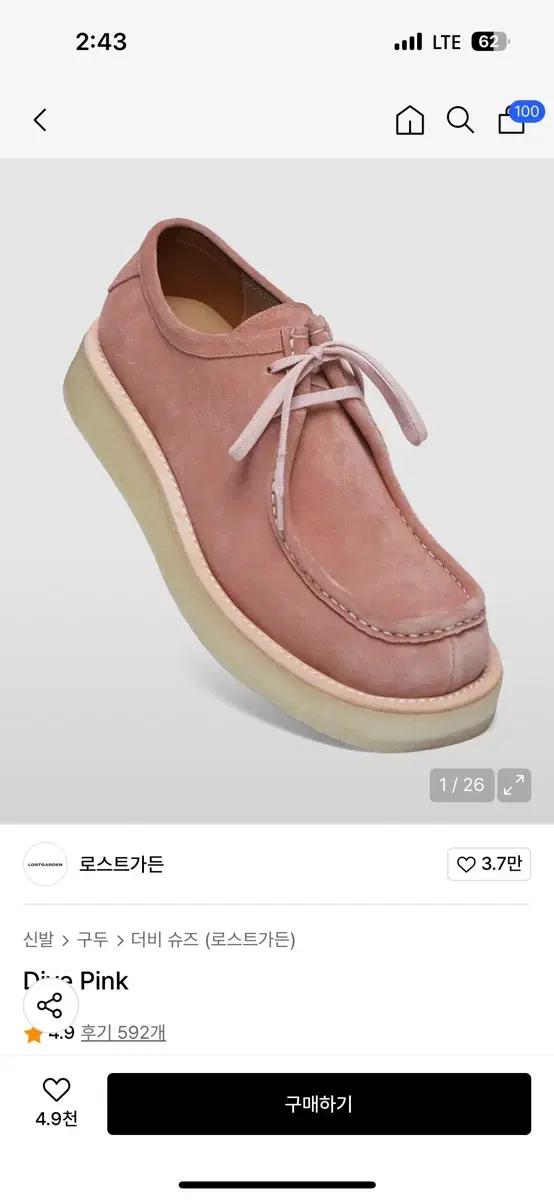 로스트가든 다이브 핑크 275 안굽추가