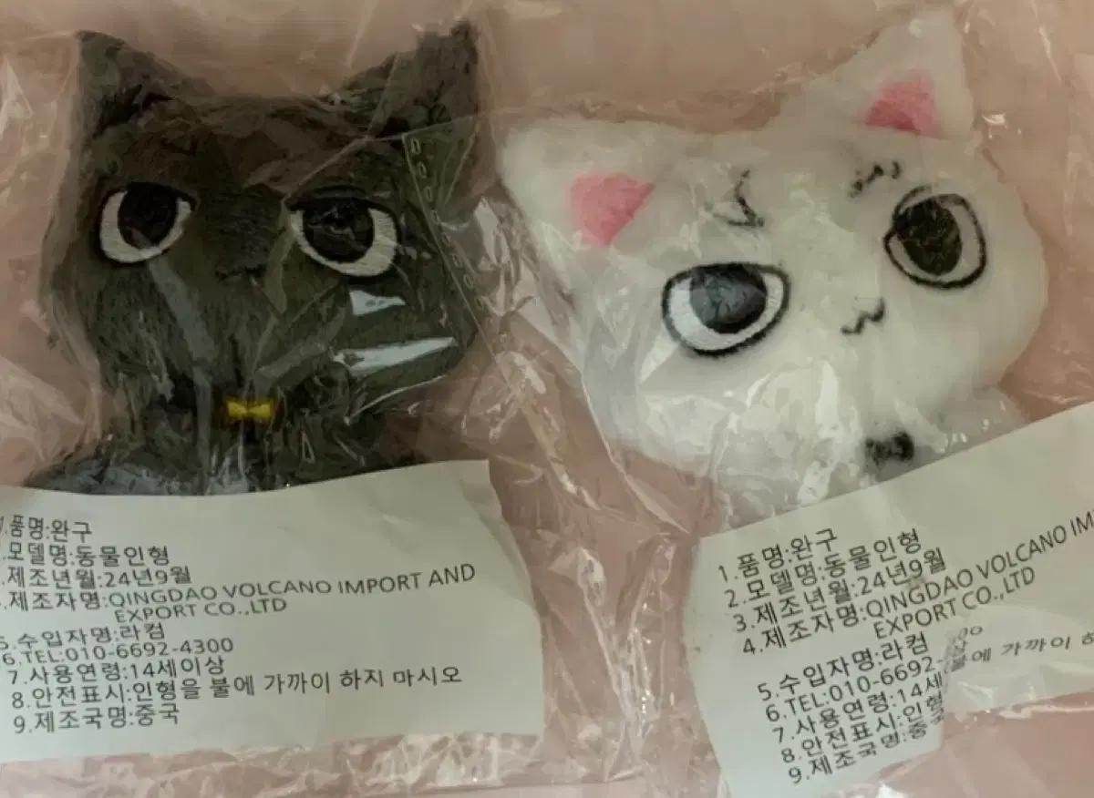 보이넥스트도어 보넥도 성호 인형 흰게냥 성게냥 양도합니다