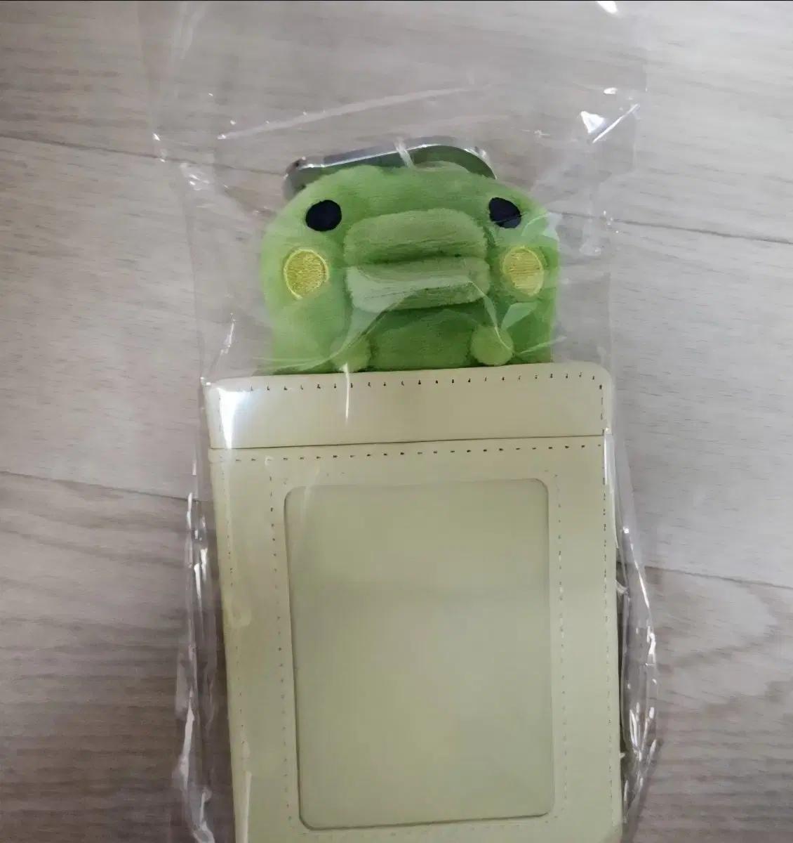 쿠치파치 주댕치 포카홀더 엔시티위시 사쿠야 포카