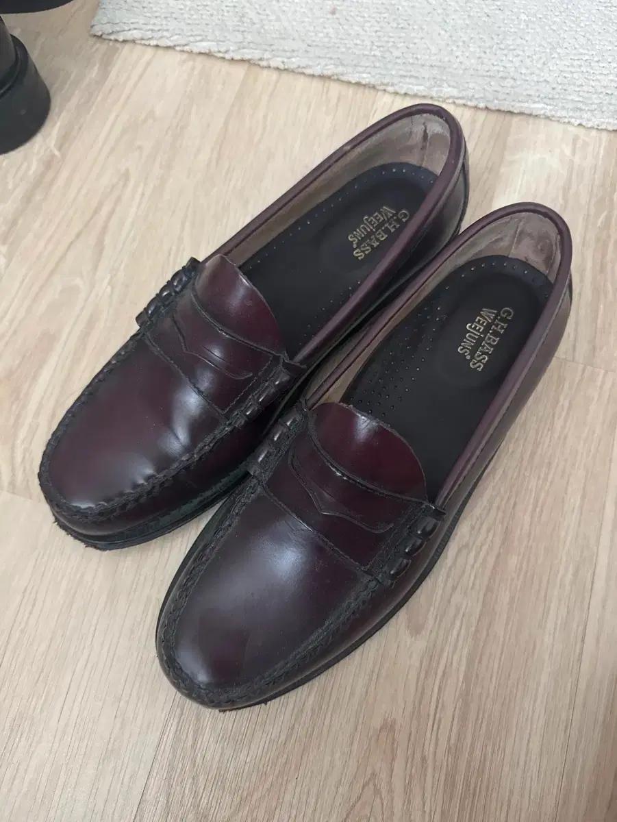 GH bass 바스 위준스 버건디 270