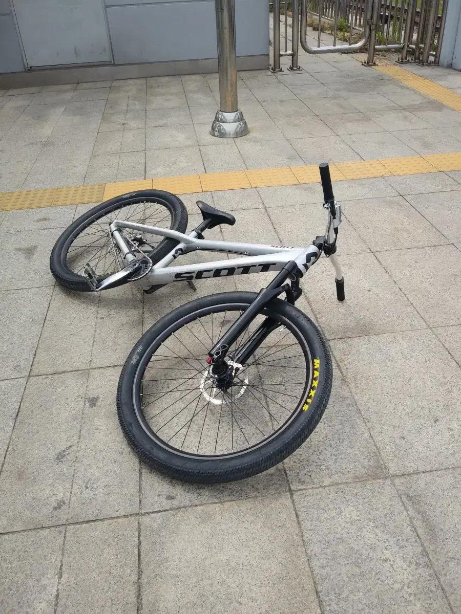 스캇 볼테이지 (판매완료