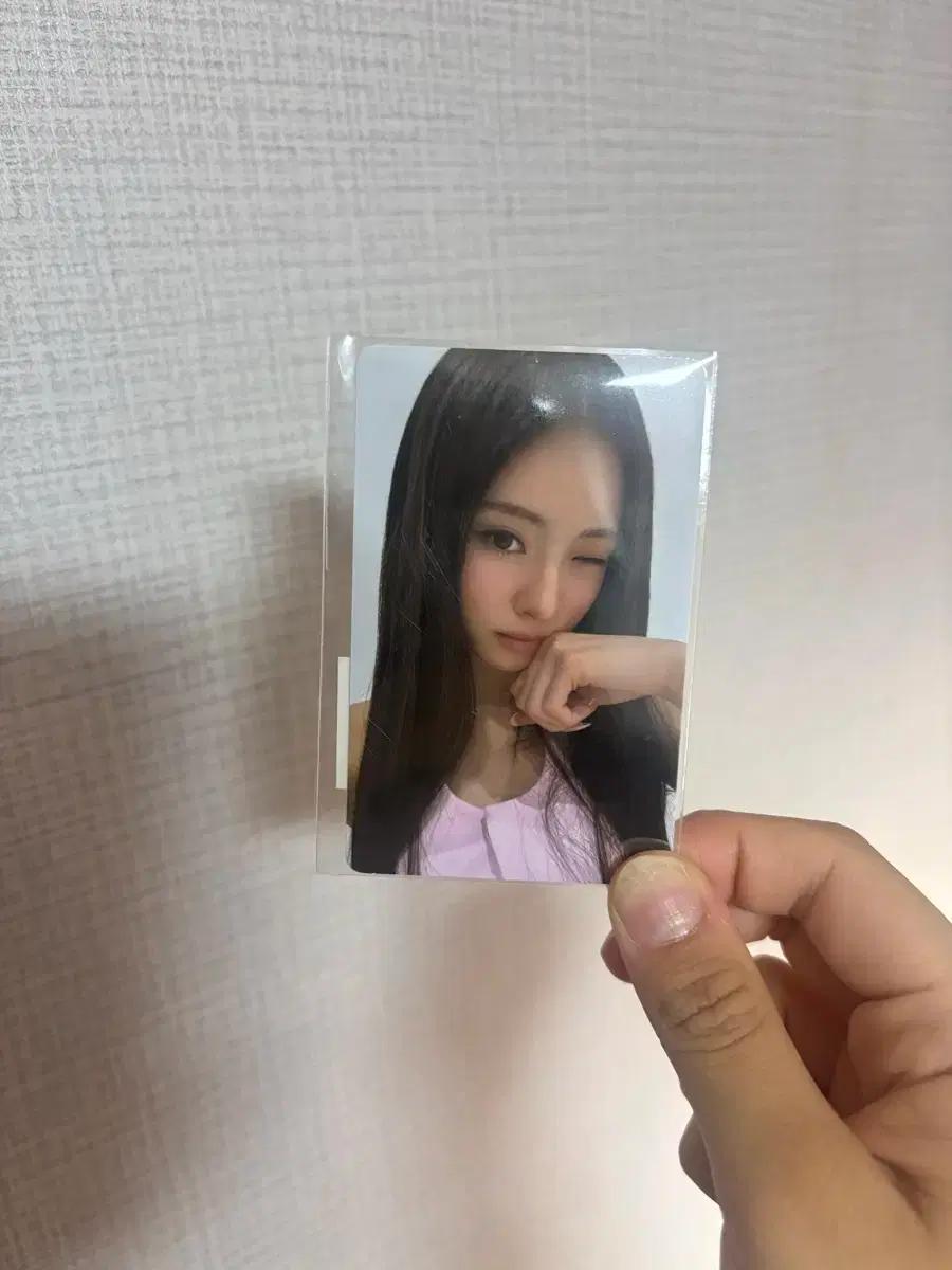 미야오 안나 로레알 포카