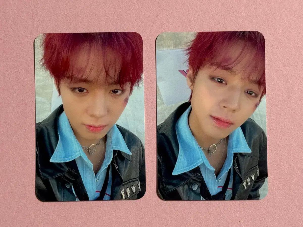 박지훈 미화당 미공포