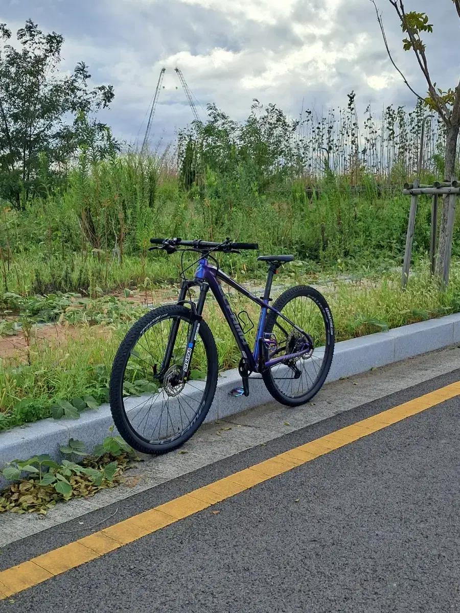 엘파마 mtb