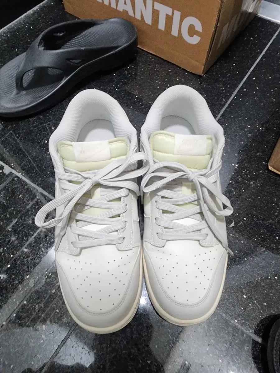 나이키 덩크 로우 라이트본 270