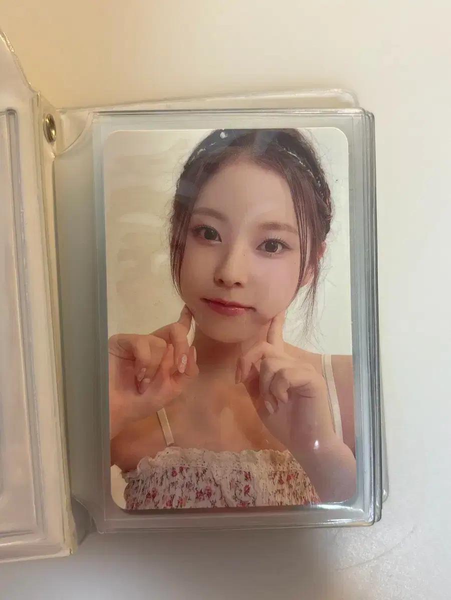 엔믹스 르세라핌 아이브 포카 판매