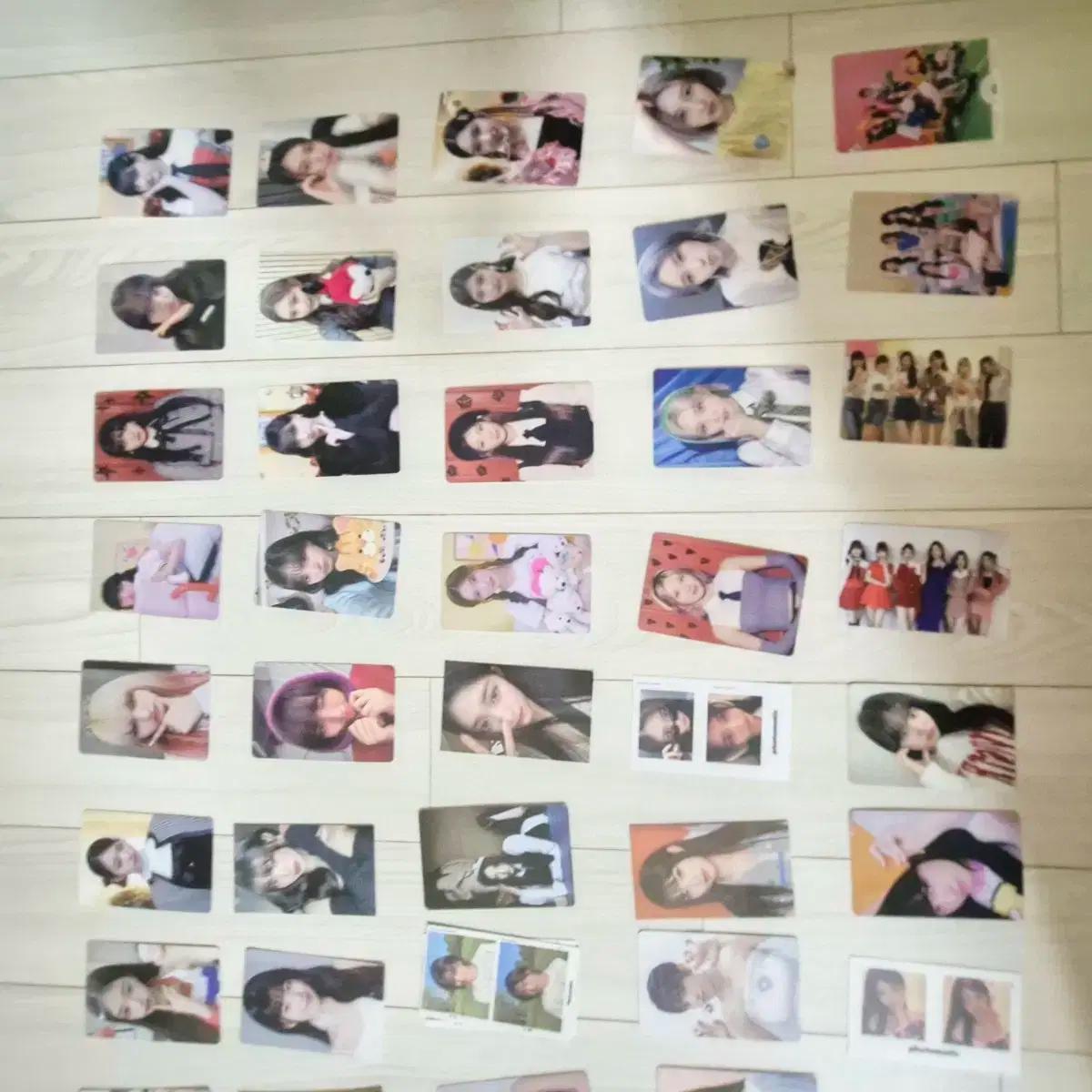 아이브 진포+가포+도무송