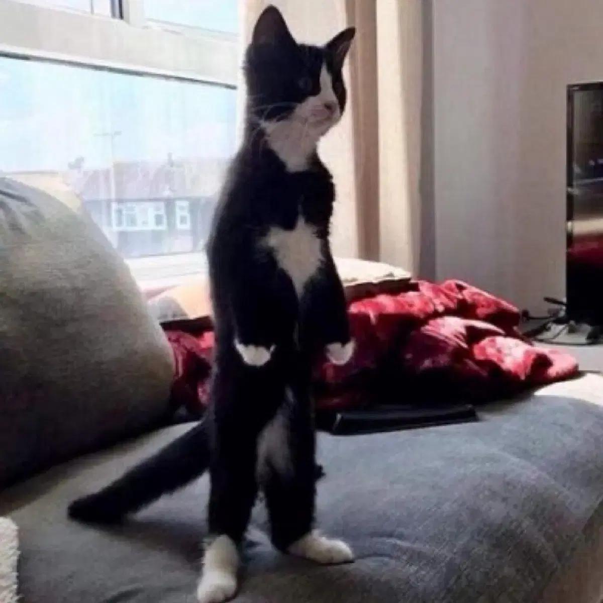 구함) 가비지타임 다다님 준상 준수상호 굿즈 전부 양도 받습니다