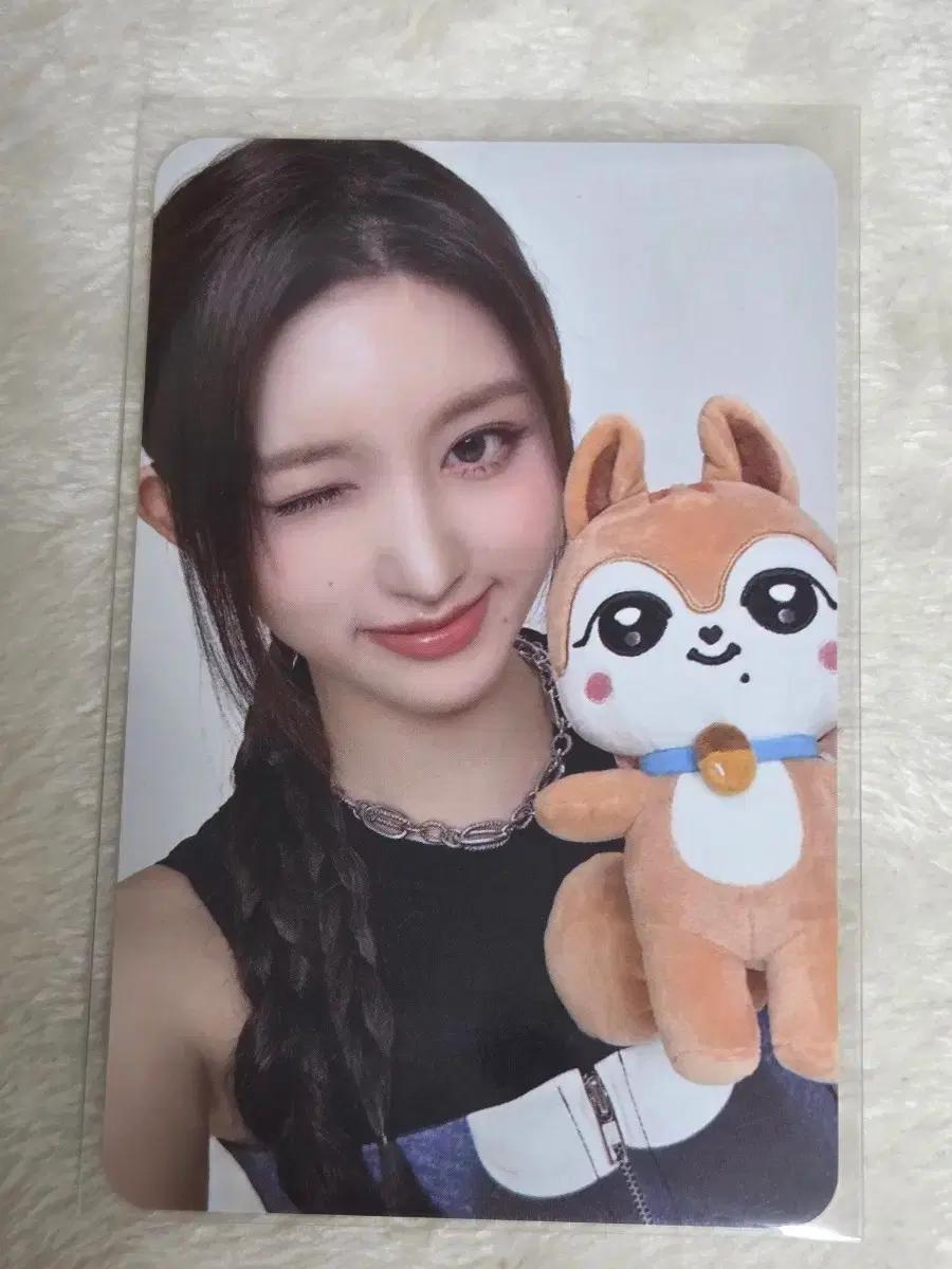 아이브 가을 미니브 팝업 메가 쿠션 포카 양도