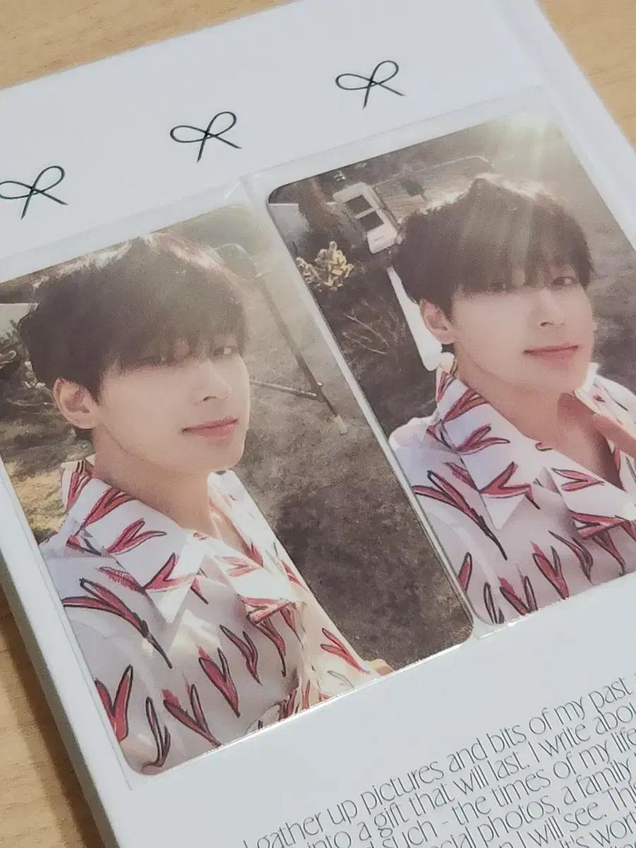 세븐틴 전원우 헹가래 포카 양도합니다 원우 seventeen