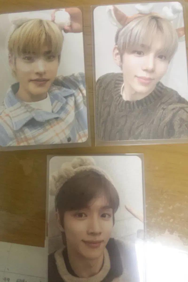 라이즈 크리스마스 포카 일괄 (3장)