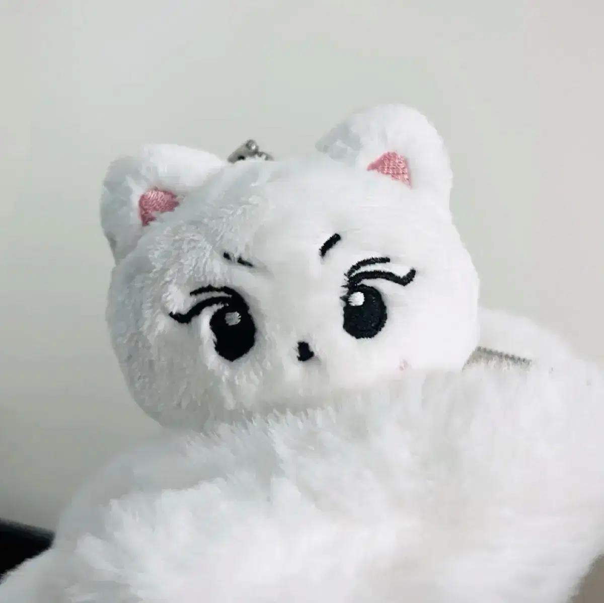 엔하이픈 정원 양꼬미