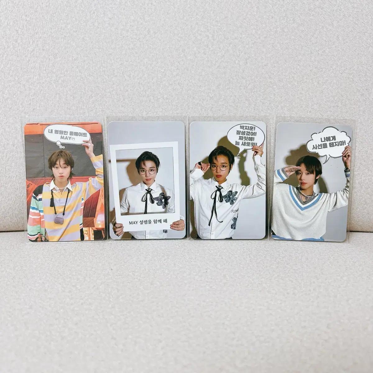 박지훈 my collection 미공포 포카 4종