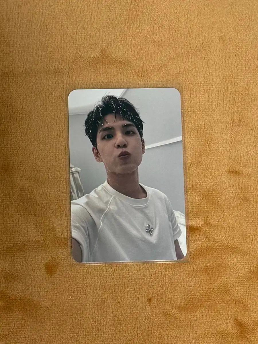 데이식스 원필 포카 밴드에이드 미공포