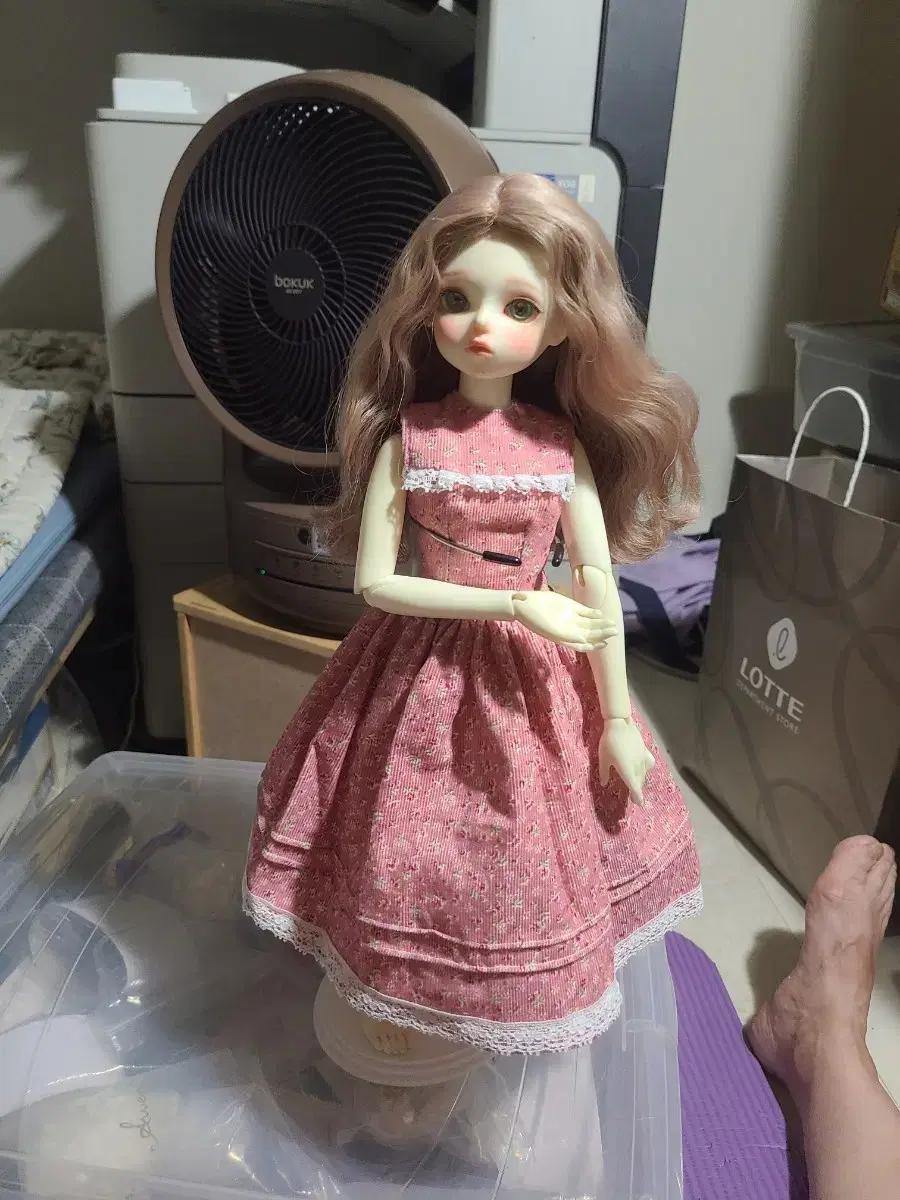 msd의상